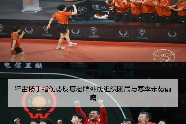 特雷杨手指伤势反复老鹰外线组织困局与赛季走势前瞻