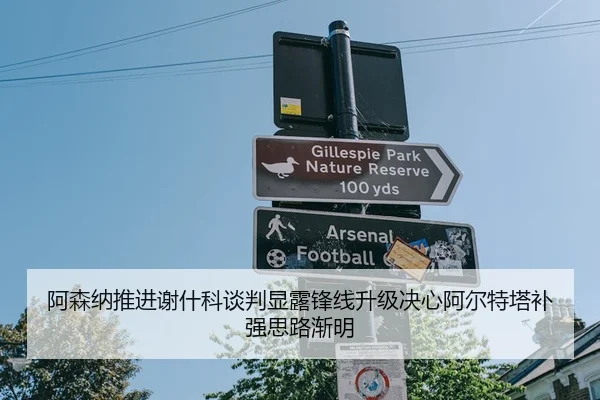 阿森纳推进谢什科谈判显露锋线升级决心阿尔特塔补强思路渐明